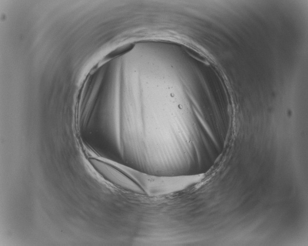 X0000051861528200507081810