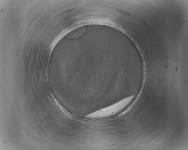 X0000051861529200507081810