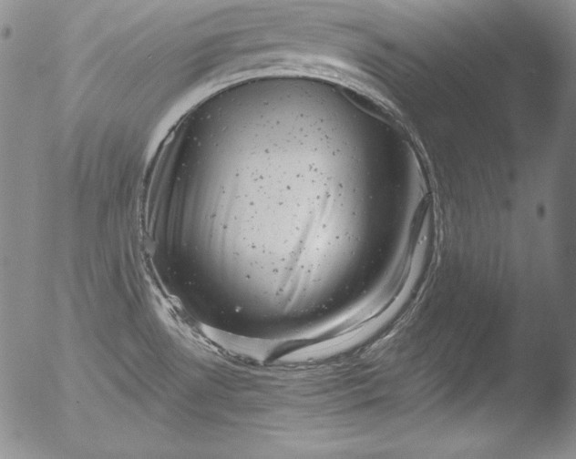 X0000051861530200507081810