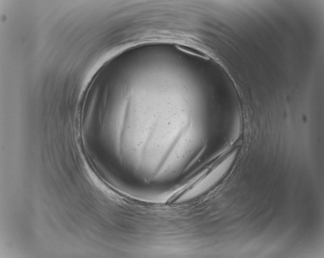 X0000051861531200507081810