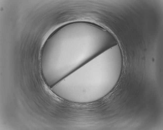 X0000051861532200507081810