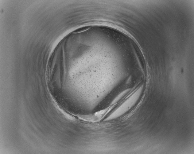 X0000051861533200507081810