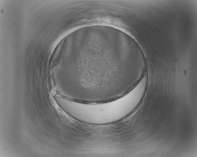 X0000051861534200507081810