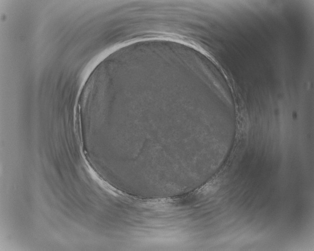 X0000051861535200507081810