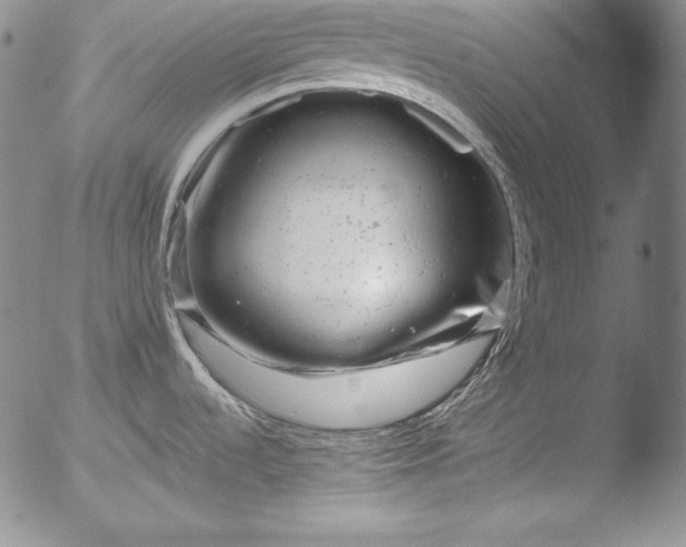 X0000051861536200507081810