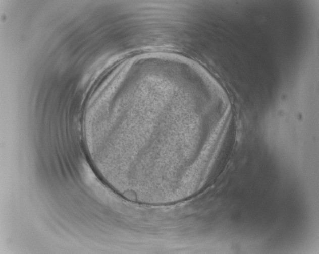 X0000051860002200507151832