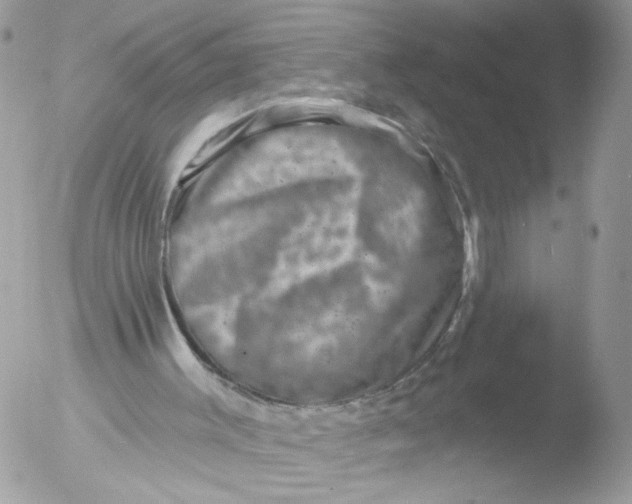 X0000051860003200507151832