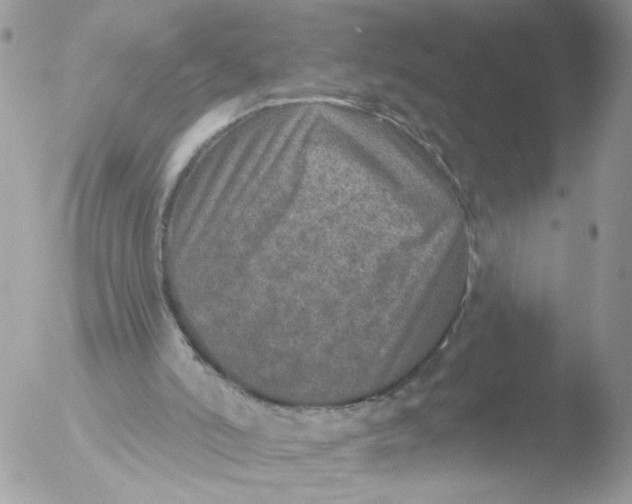 X0000051860006200507151832