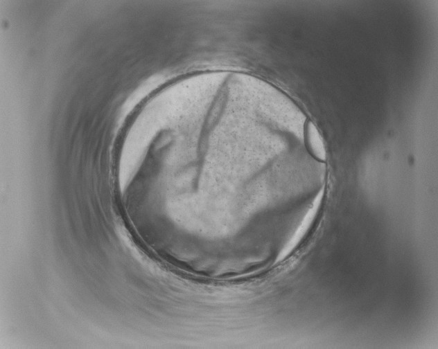 X0000051860008200507151832