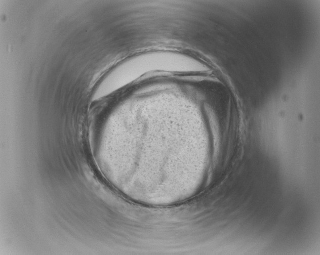 X0000051860010200507151832