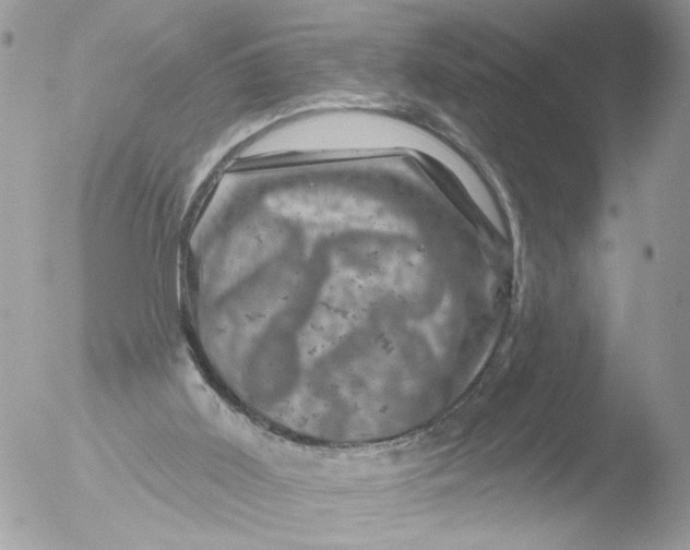 X0000051860011200507151832