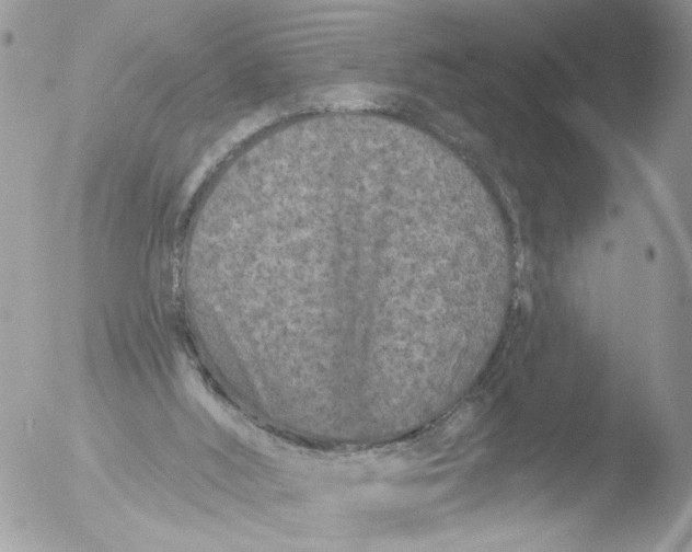 X0000051860012200507151832