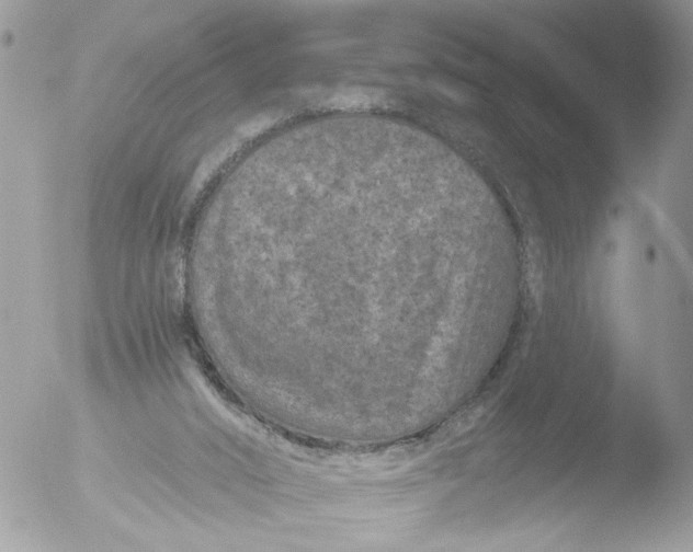 X0000051860016200507151832