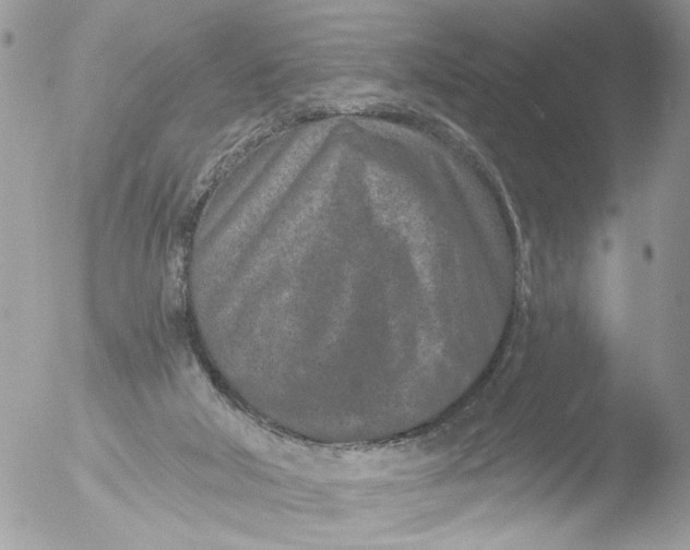 X0000051860018200507151832