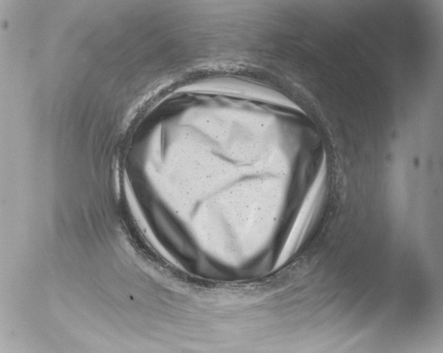 X0000051860020200507151832