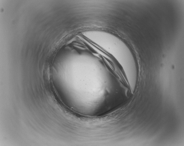 X0000051860021200507151832