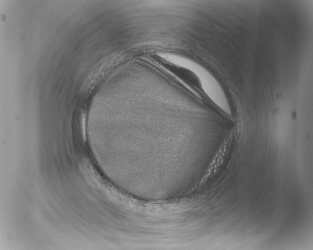 X0000051860022200507151832