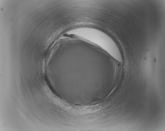 X0000051860023200507151832