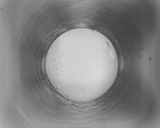 X0000051860026200507151832