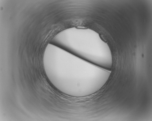 X0000051860035200507151832