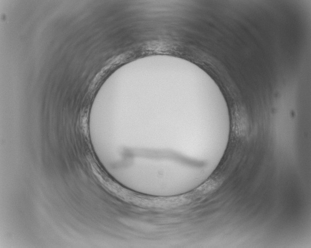 X0000051860036200507151832