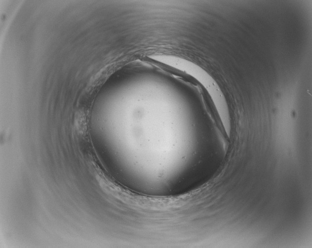 X0000051860037200507151832