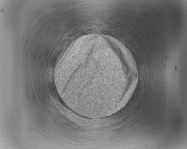 X0000051860038200507151832