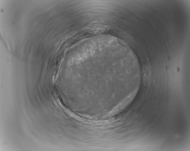 X0000051860042200507151832