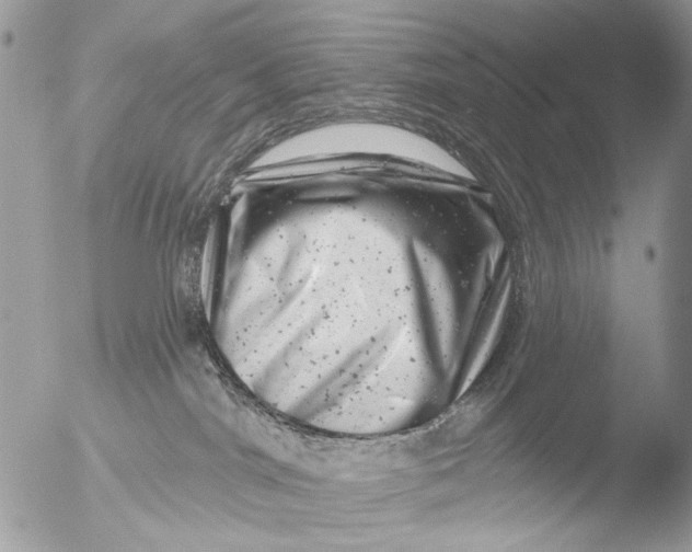 X0000051860044200507151832