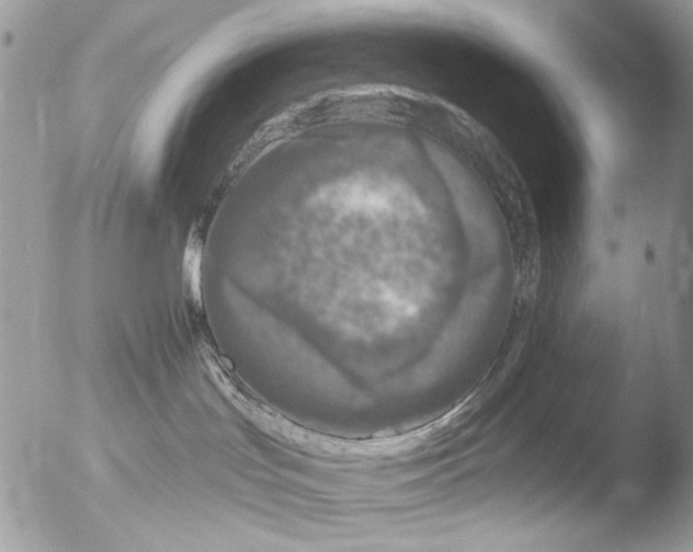 X0000051860047200507151832