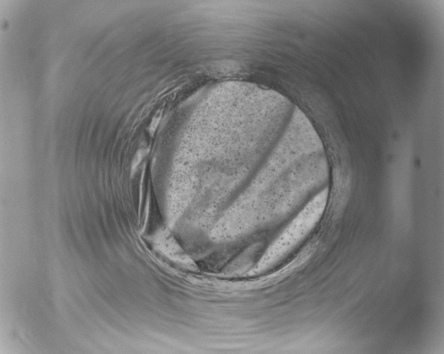 X0000051860048200507151832