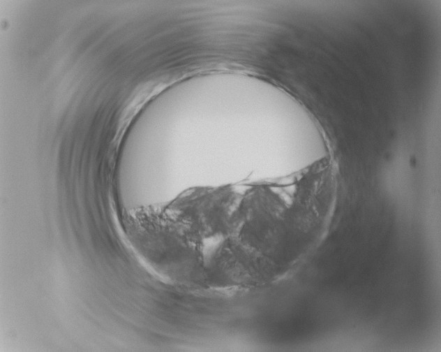 X0000051860049200507151831