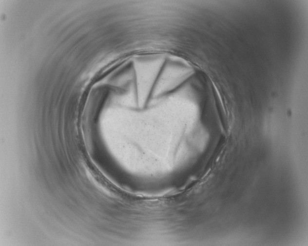 X0000051860050200507151831