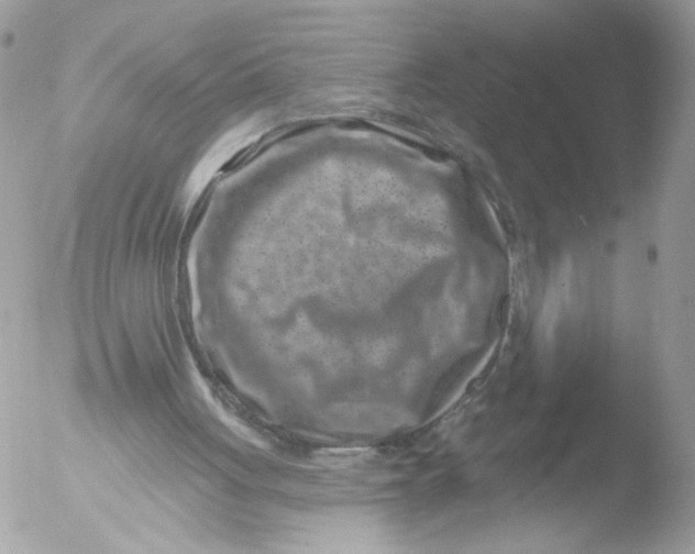 X0000051860051200507151831