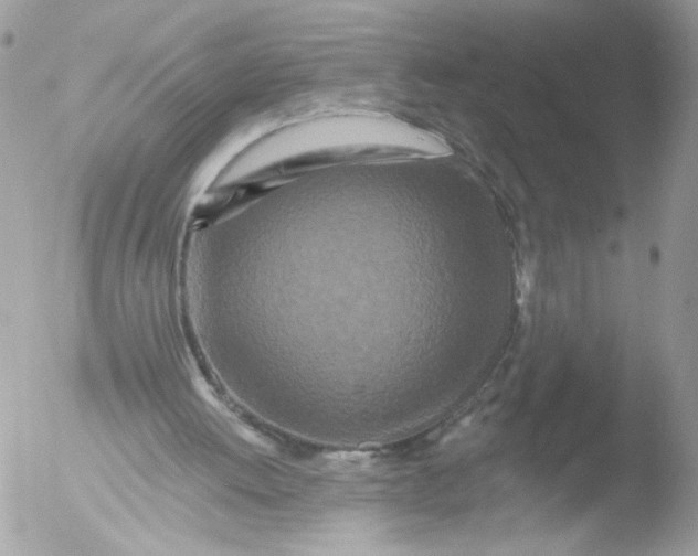 X0000051860052200507151831