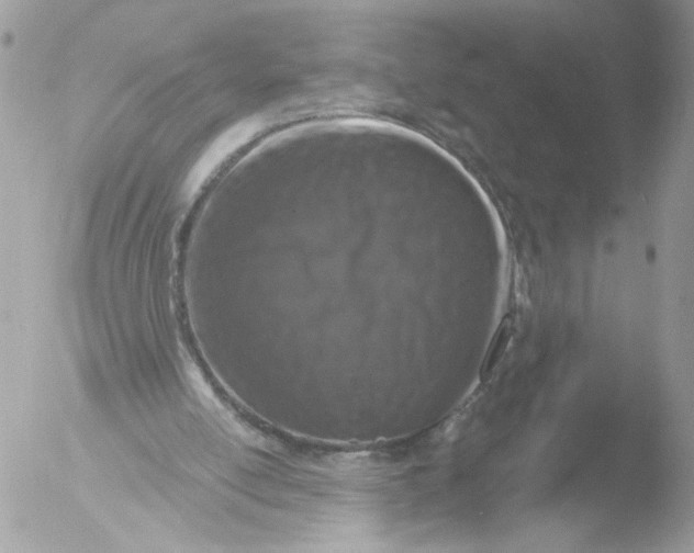 X0000051860054200507151831