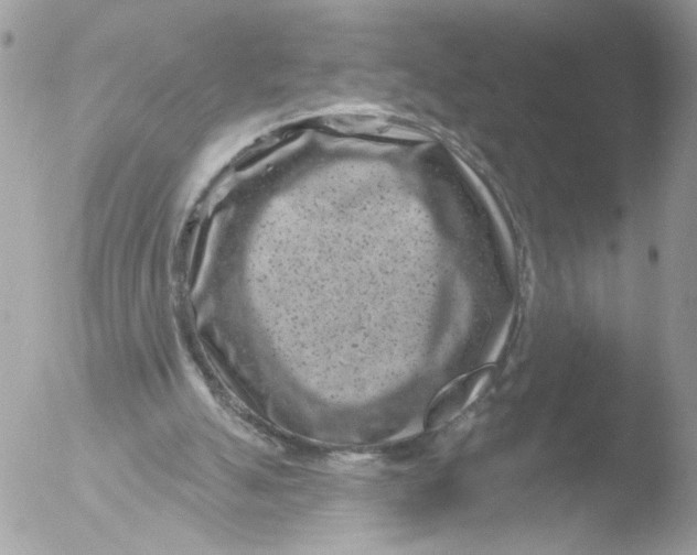 X0000051860055200507151831