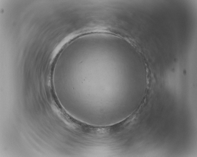 X0000051860056200507151831