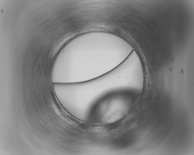 X0000051860058200507151831