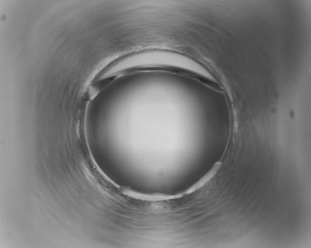 X0000051860060200507151831