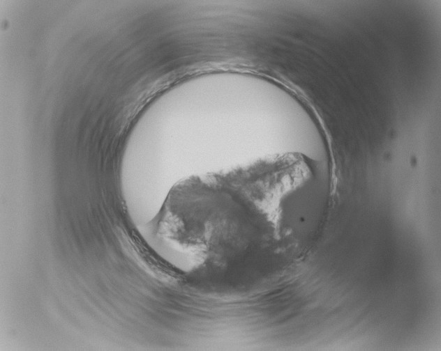 X0000051860061200507151831