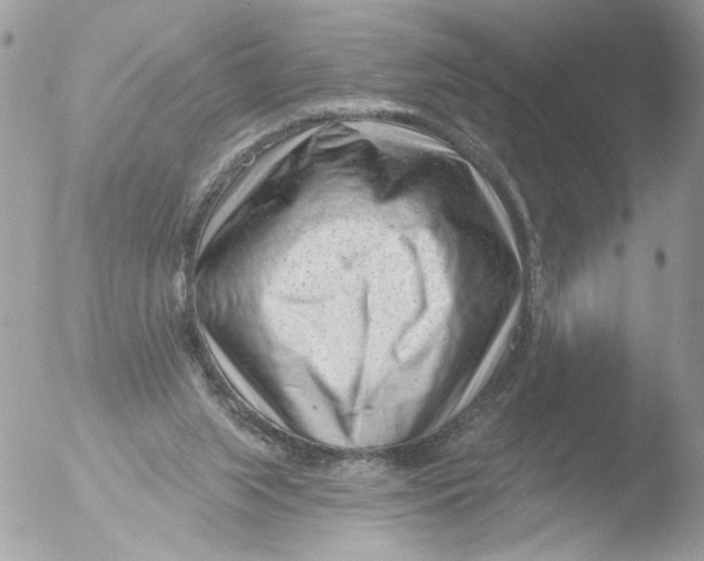 X0000051860063200507151831