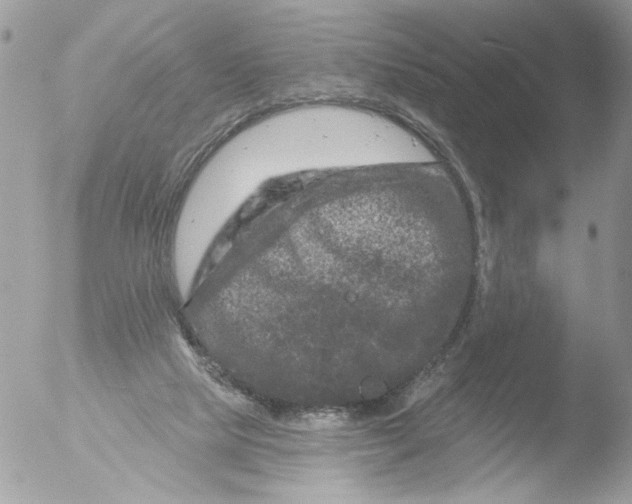 X0000051860065200507151831