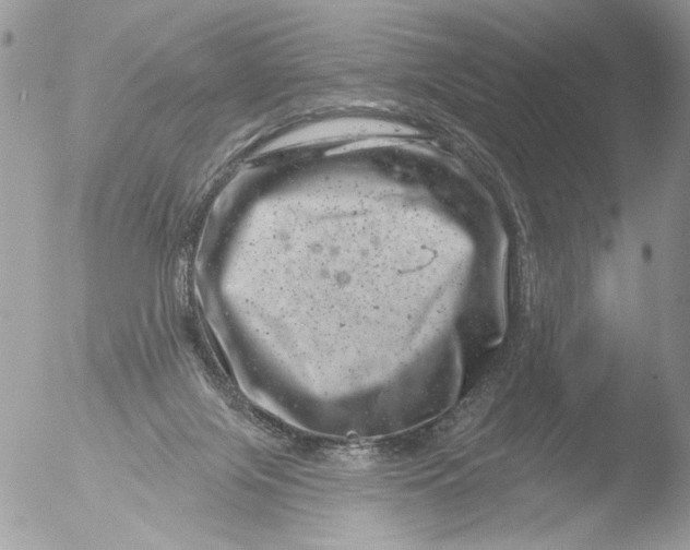 X0000051860071200507151831