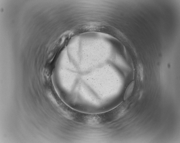 X0000051860073200507151831