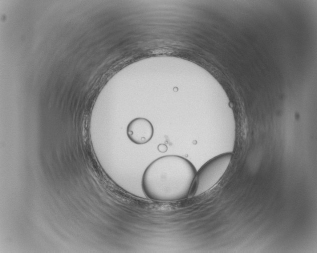 X0000051860074200507151831