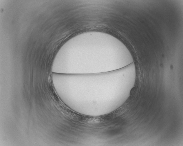 X0000051860075200507151831