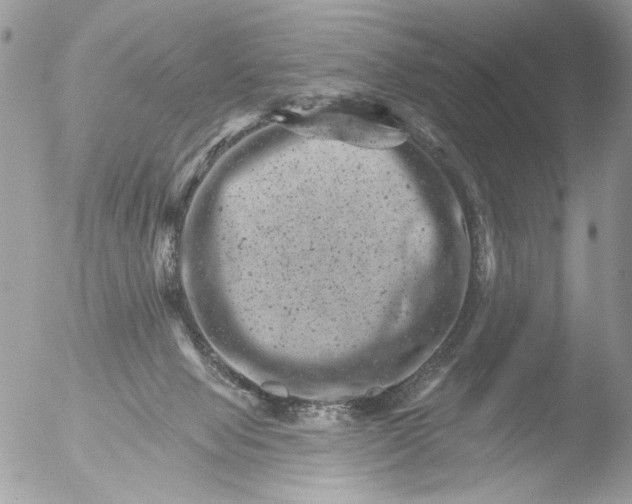 X0000051860077200507151831