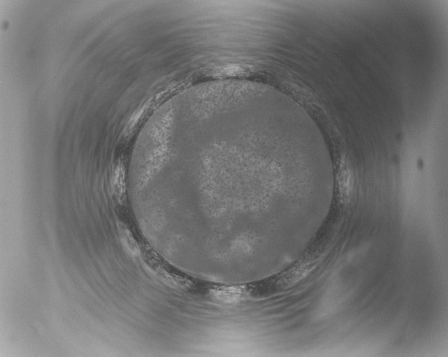 X0000051860079200507151831