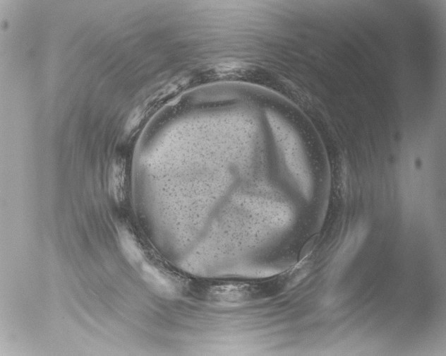 X0000051860082200507151831